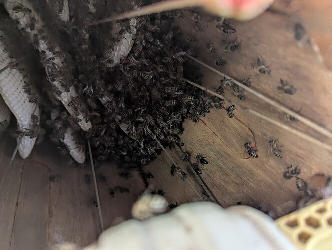 17512000184248954405473310331168