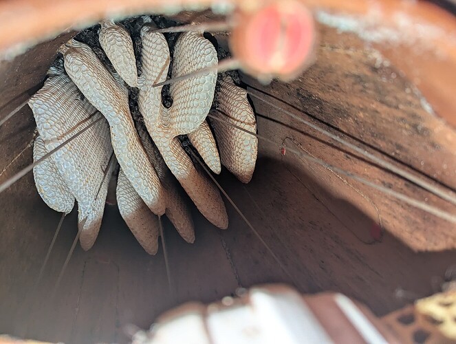 17511998088972210606747736544708